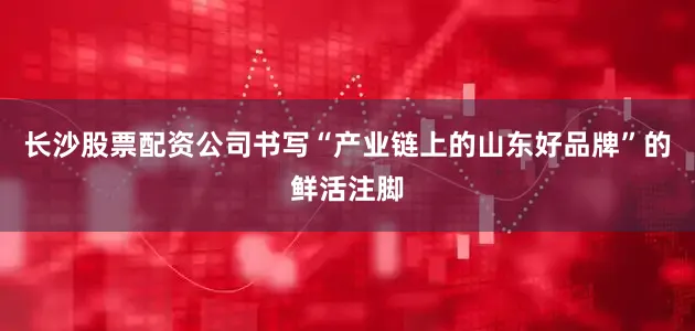 长沙股票配资公司书写“产业链上的山东好品牌”的鲜活注脚